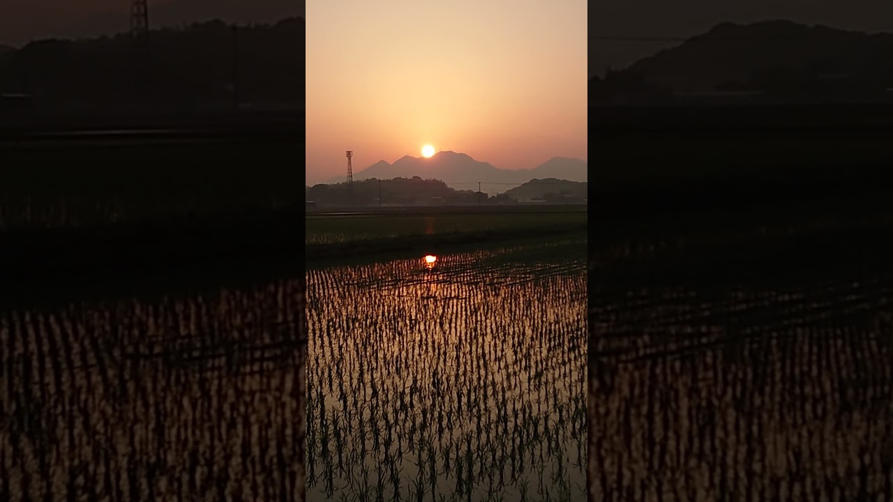 ズームイン朝😆
