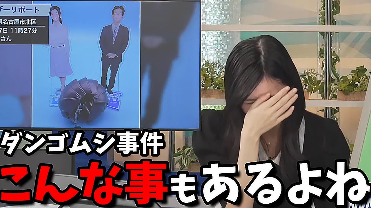【大島璃音】ダンゴムシ動画に付いてたコメントにツボったお天気お姉さん【日本語勉強教材化】