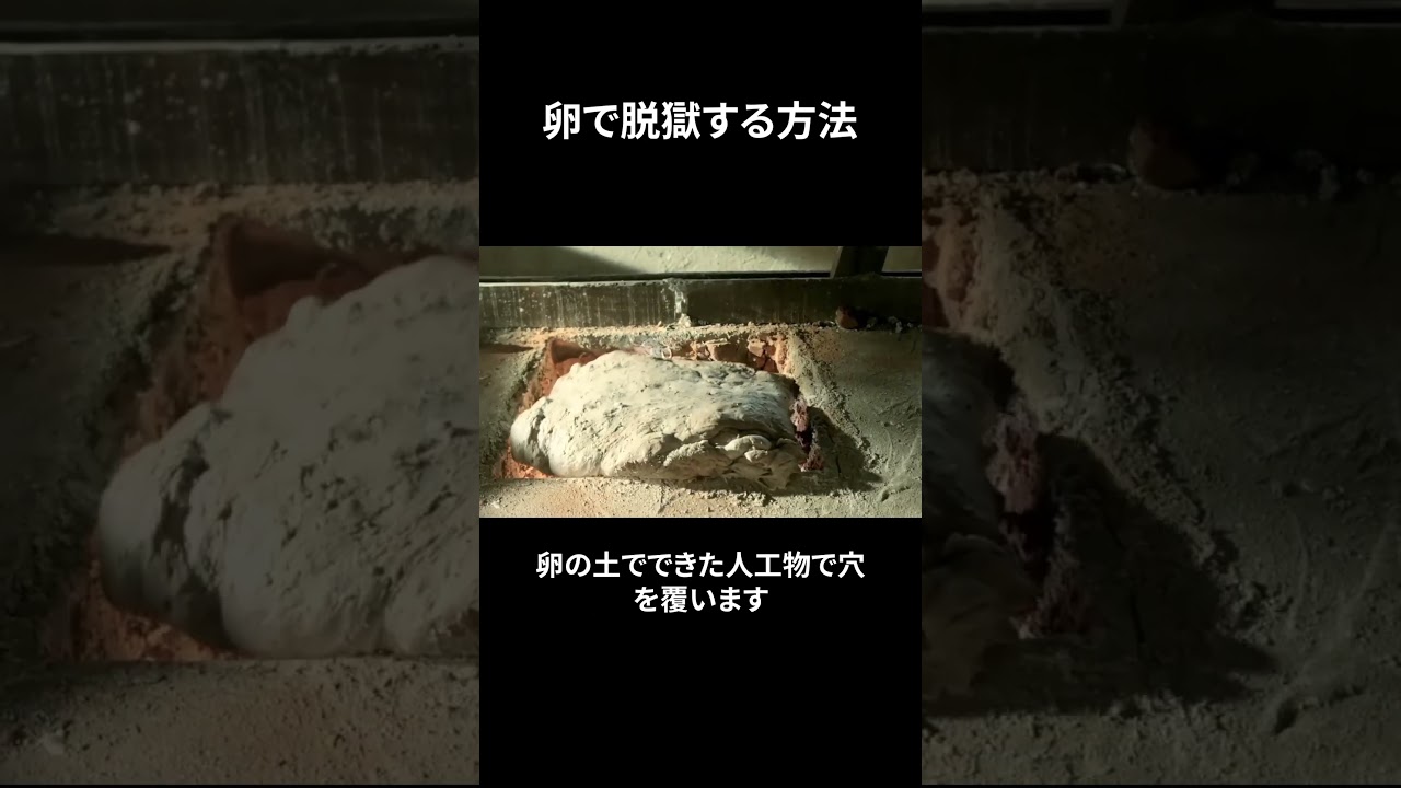 卵で脱獄する方法
