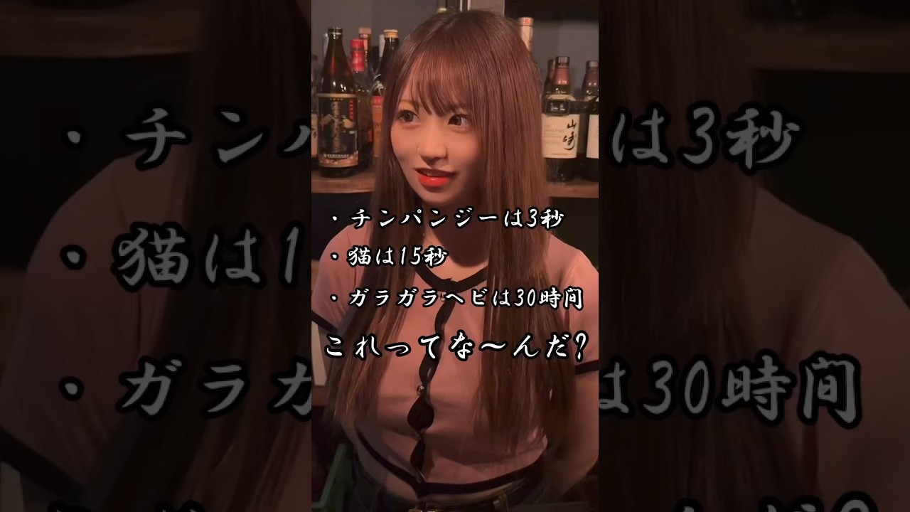 チンパンジーは3秒、猫は15秒、ガラガラヘビは30時間これってな〜んだ？#よるナビ#バー #bar #ガールズバー #大阪 #一般常識 #クイズ