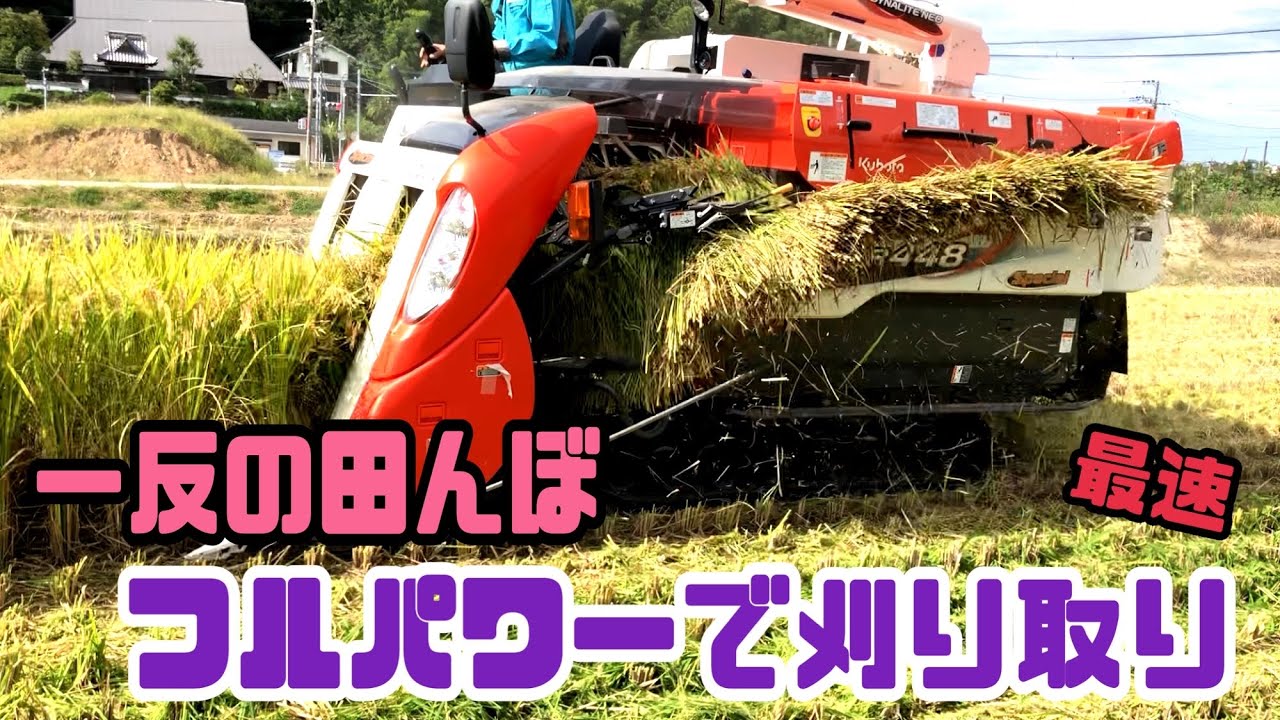 『一反が一瞬』Kubota ER448 フルパワーで刈り取り‼️クボタの4条48馬力コンバインで刈り取りSTAR🏃