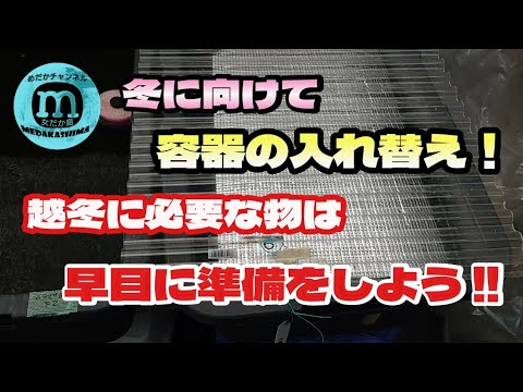 【秋の屋外飼育！】冬に向けての準備はお早めに!!今の時期コレはやっておきたい！