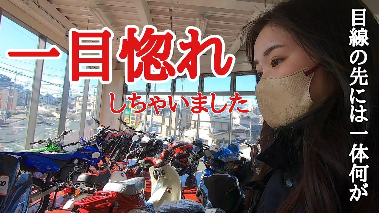 【バイク探し】私、一目惚れしました