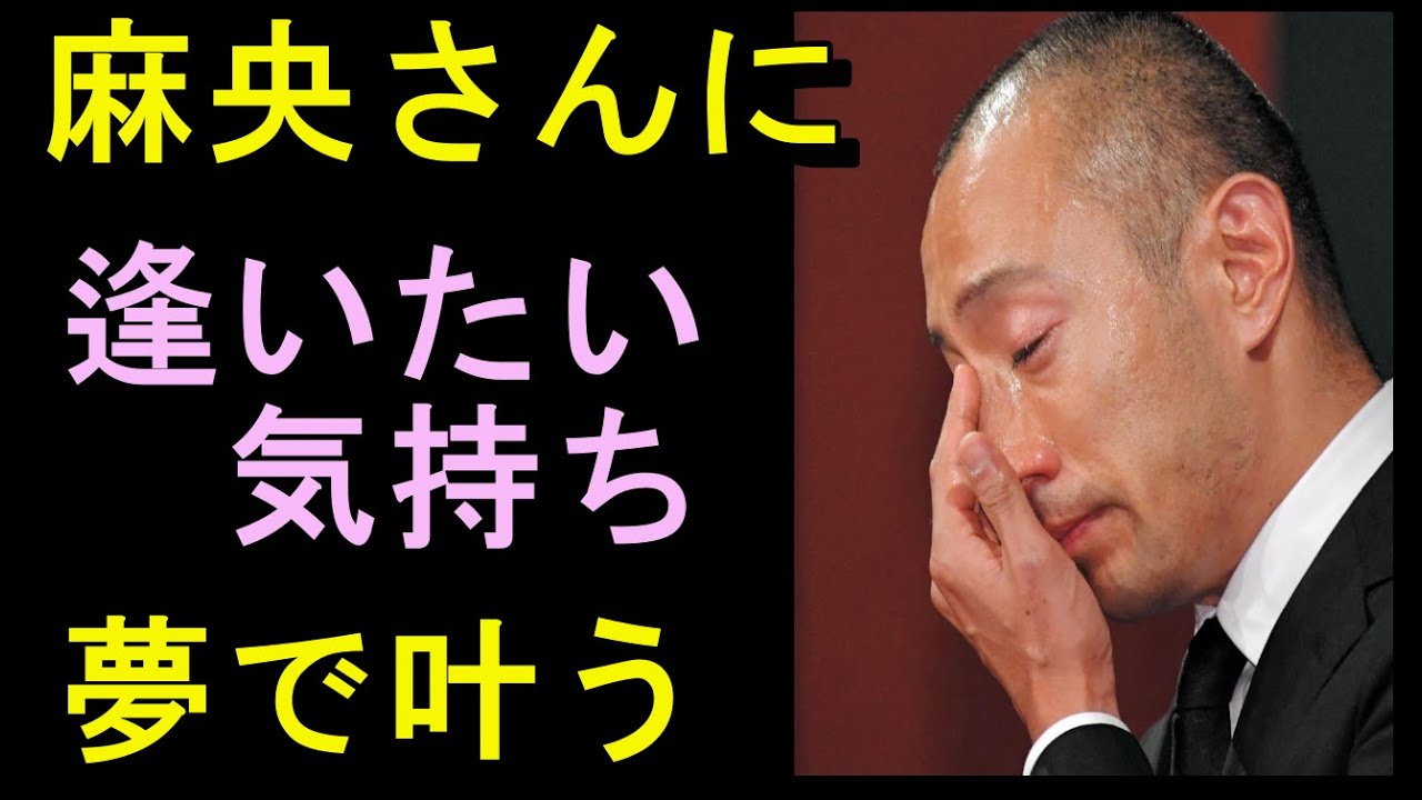 市川團十郎さん、妻の小林麻央さんと飛行機で国内巡る夢「元気に話し笑顔」に