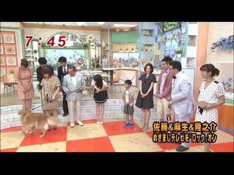 加藤綾子アナ　有名な胸ちら