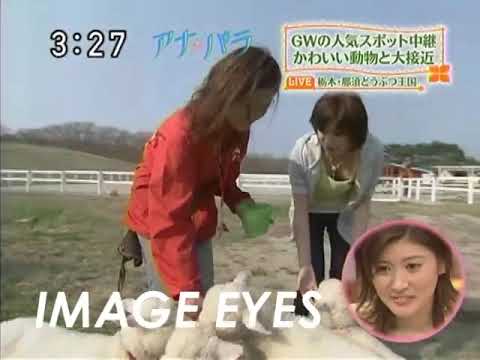 石崎佳代子アナ　胸ちら