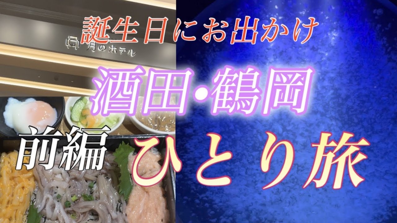 【山形県酒田市•鶴岡市】 誕生日のお祝いに1人旅をしてきた #山形県 #酒田市 #酒田グルメ #SAKATANTO #サカタント #イカ恋食堂 #月のホテル #大庄水産 #鶴岡市 #加茂水族館