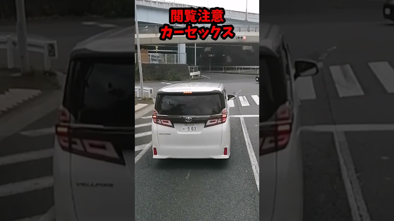 【閲覧注意】カーセックスするカップル発見！