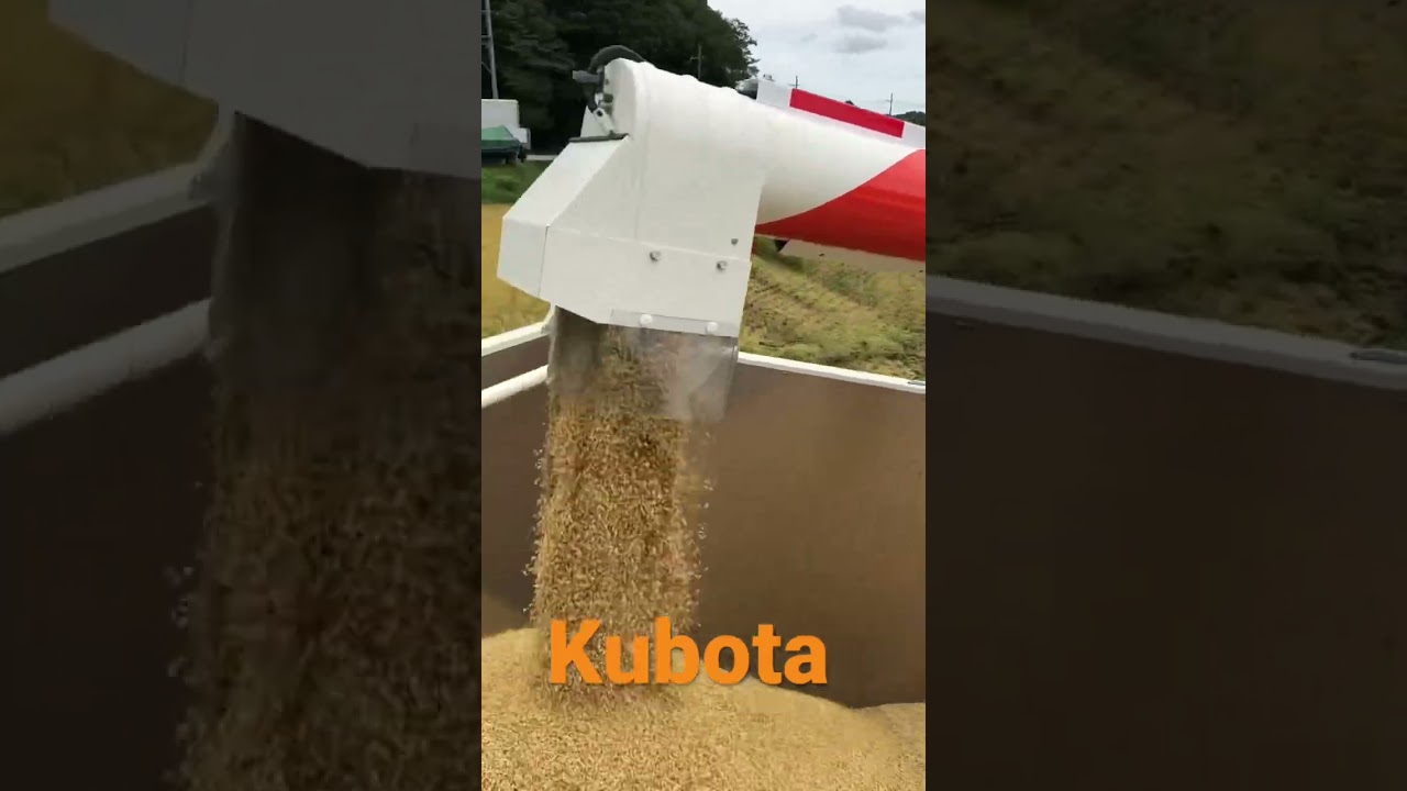 Kubota combine harvester DR472 クボタの4条72馬力コンバインで刈り取りSTAR🏃‍♂️