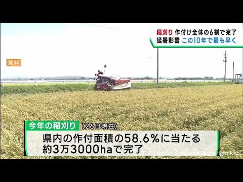 宮城県の稲刈り　この１０年最も早いペース　猛暑の影響