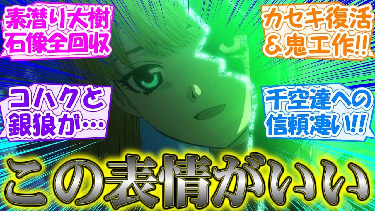 【ドクターストーン】コハクの英断!!銀狼の命を繋ぐために自ら石化を選択する強さが切ない【Dr.STONE NEW WORLD】3期/第13話の反応集/実況/感想まとめ