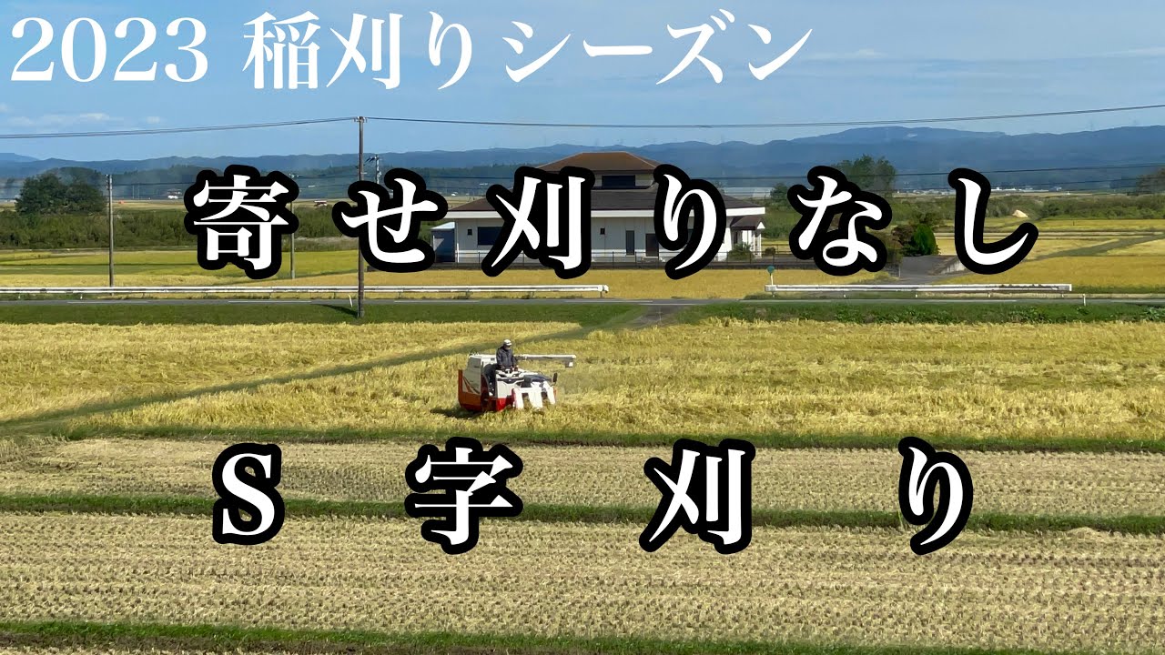 【稲刈り】今年も寄せ刈り無しのS字刈り！！