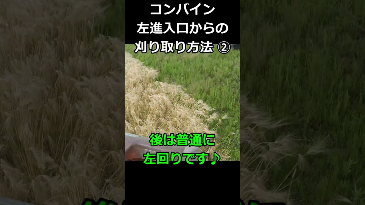 【麦】コンバインの進入口が左側進入口（逆進入口）の刈り取り方法② 麦刈り・稲刈りも 手刈りほぼ不要！＃shorts