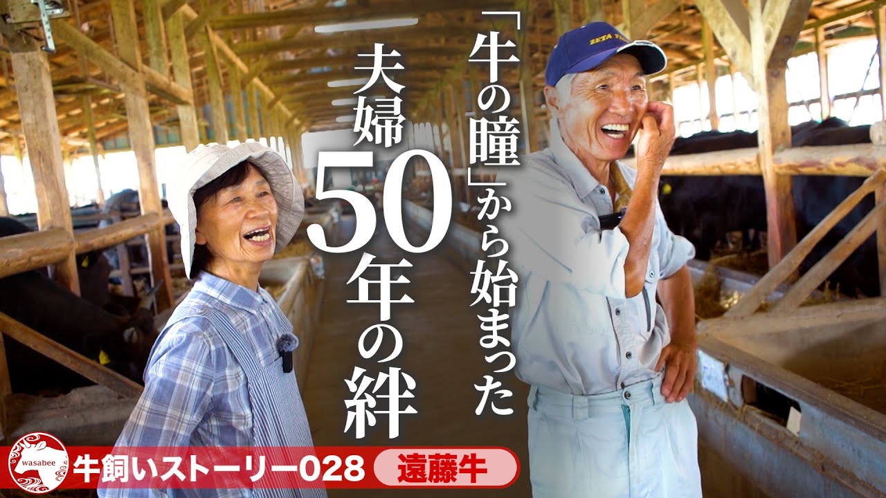 【新潟県：遠藤牛】きっかけは「牛の瞳」 牛とともに歩んだ夫婦50年の物語《wasabee 牛飼いストーリー028》