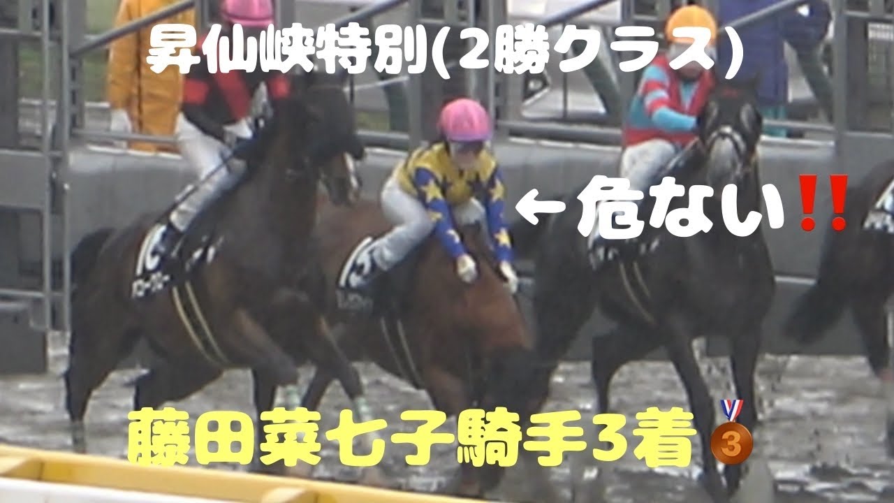 【現地撮影】2023年10月9日東京競馬9R昇仙峡特別ヨリノサファイヤ＆藤田菜七子騎手3着！
