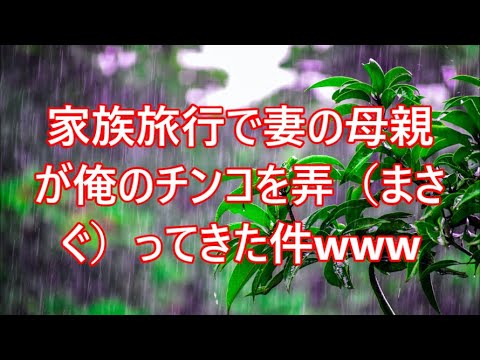 自然の絵 56456451