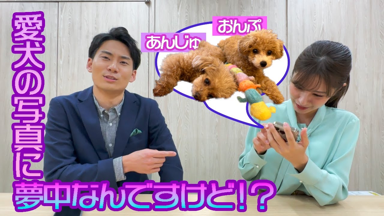 【放送後記】11月1日は犬の日　犬派ですか？猫派ですか？