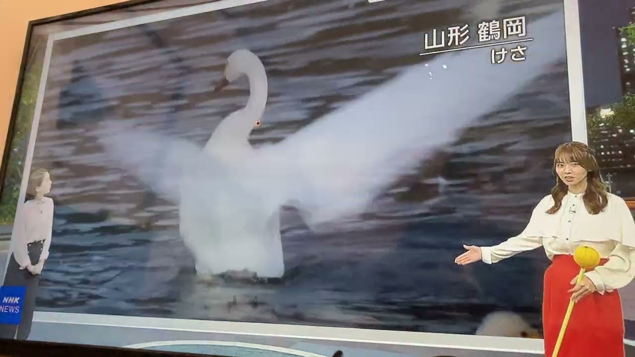 NHK　#ニュース７　#晴山紋音　#気象予報士　#片山美紀➡アメブロあり✨コピーであり、萌え萌えである。片山気象予報士は柔和にイメチェンwww　🐼#ジャンキス💋➡#山田莉愛🐼#鈴木陽依梨🐣#秋月柑七🌈