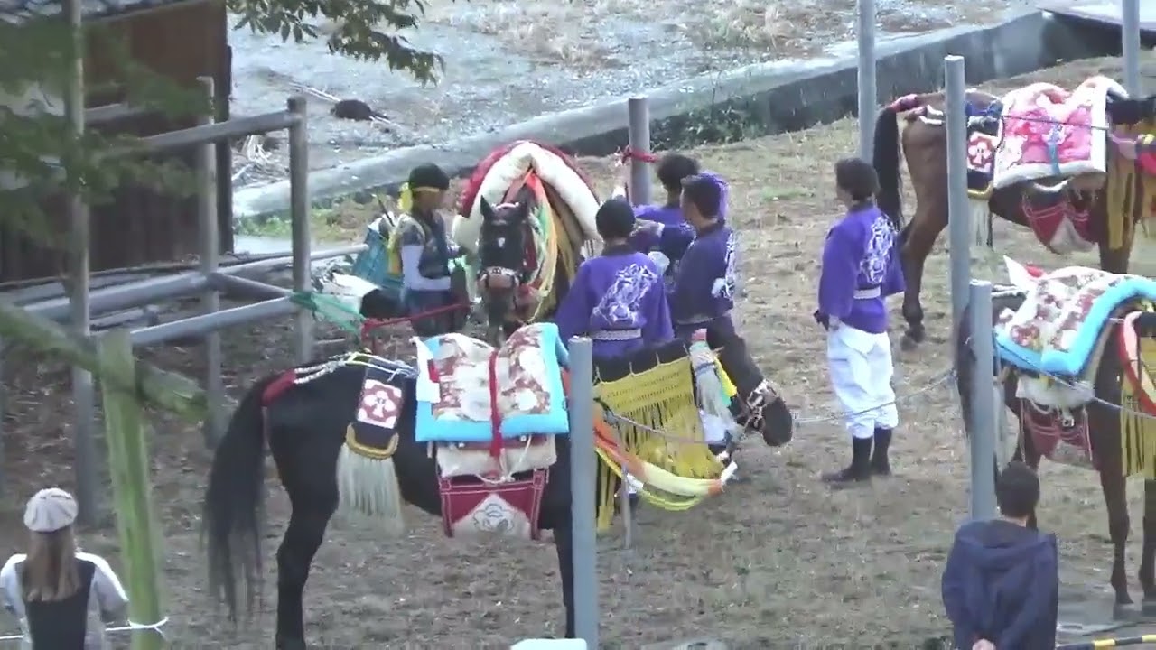 お供馬の走り込み（菊間祭り）