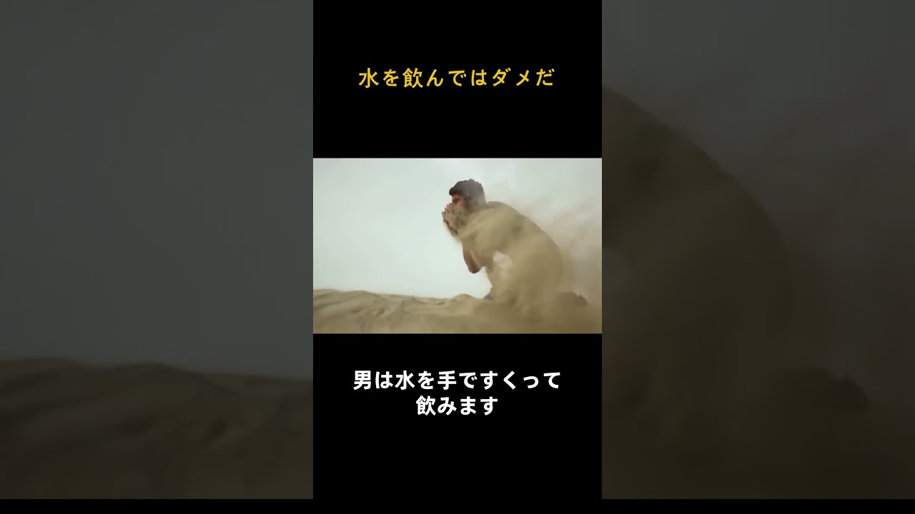 水を飲んではダメだ