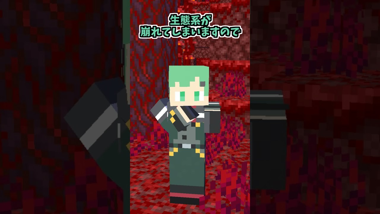 マイクラの生態系【ネザー編】【マインクラフトアニメ】【そらねこ】【めろぱか】【めろんぱーかー】