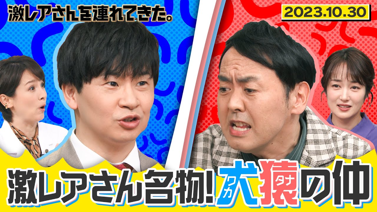 【激レアさん】激レアさん名物!ワカvsタナは犬猿の仲/2023.10.30放送