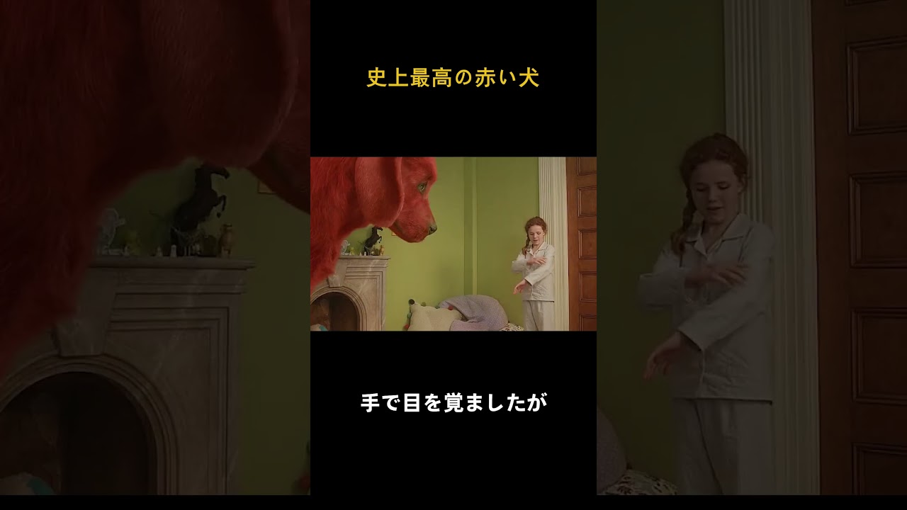 史上最高の赤い犬