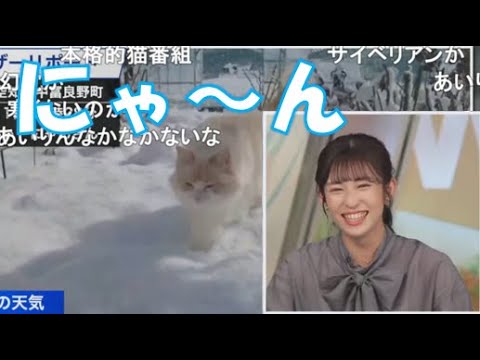 【山岸愛梨】🍙っ「動画の猫の鳴き声かと思ったらスタッフさんの声だったww(ニコ生コメ有り)」