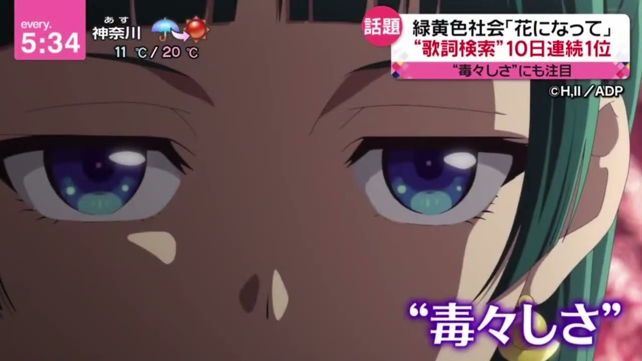 緑黄色社会「花になって｣"歌詞検索”10日連続1位『newsevery.』2023年11月16日【HD】