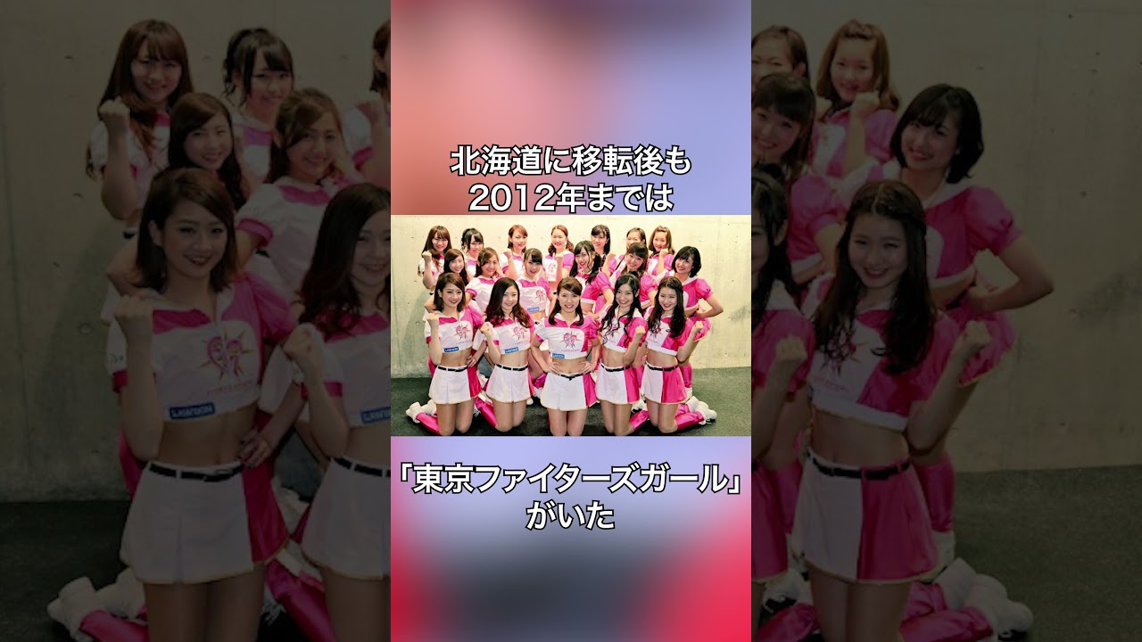 ファイターズガールの雑学