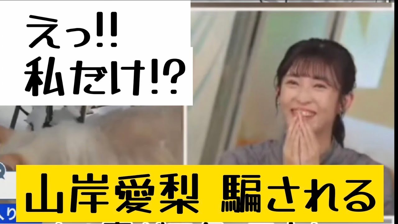 あいりん騙される　山岸愛梨