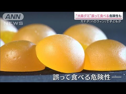 “大麻グミ”で救急搬送相次ぐ 専門家は子どもの誤食に警鐘(2023年11月18日)