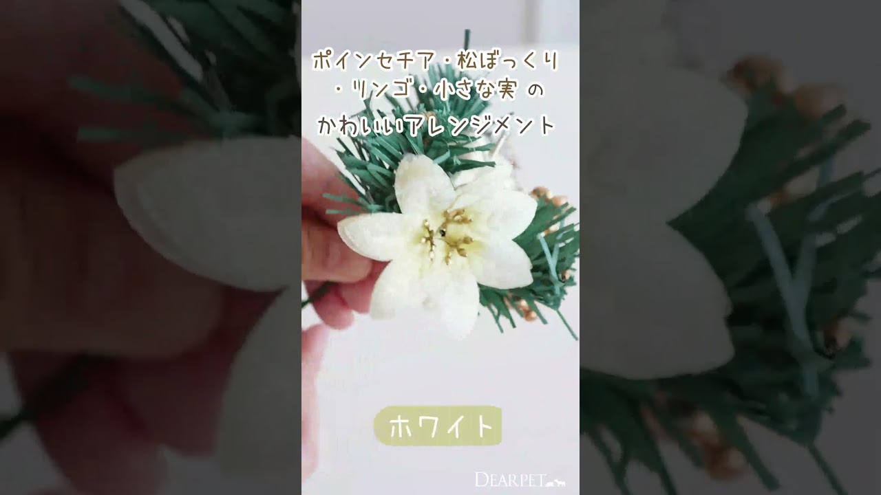 🐾クリスマスフラワー「ポインセチア＆アップルピック」