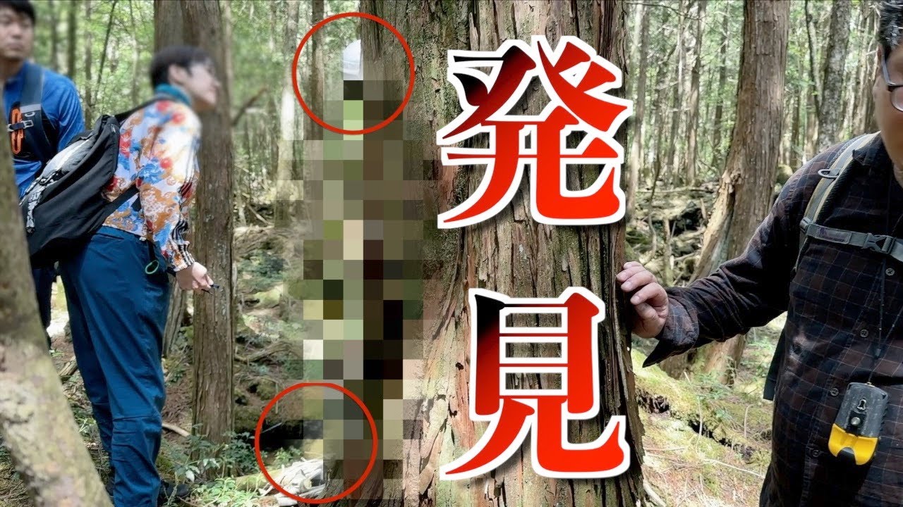 【絶望】青木ヶ原樹海で見つけた…悲しい現実