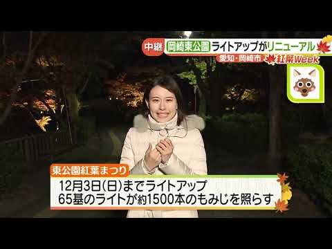 1500本のもみじを照らす　岡崎東公園で紅葉ライトアップ始まる　愛知県