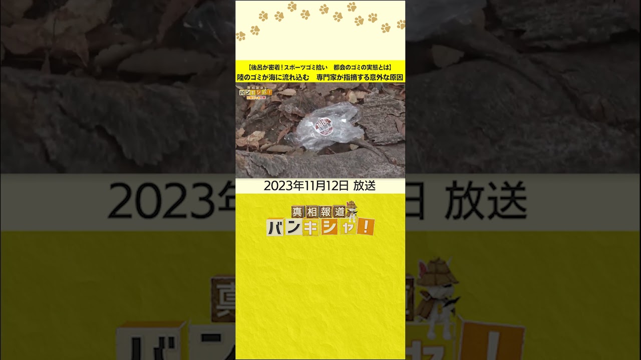 【後呂が密着！スポーツゴミ拾い　都会のゴミの実態とは】陸のゴミが海に流れ込む　専門家が指摘する意外な原因 #shorts
