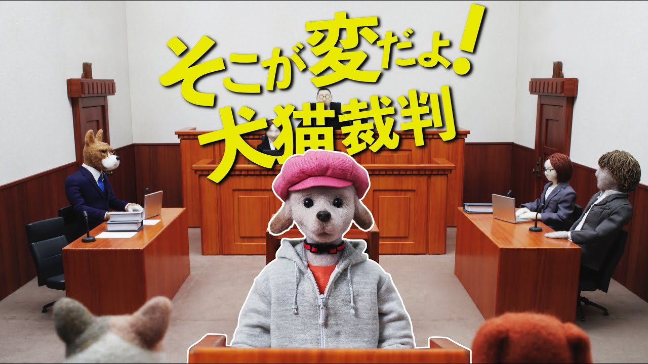「そこが変だよ！犬猫裁判」　動物愛護管理法の見直しは５年に一度の今です