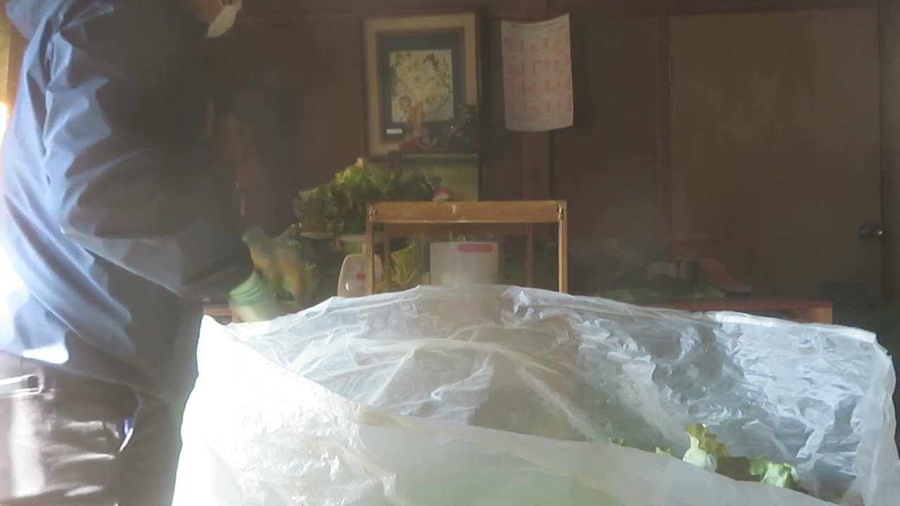 「一日の流れ　ラベリング」2023/02/20