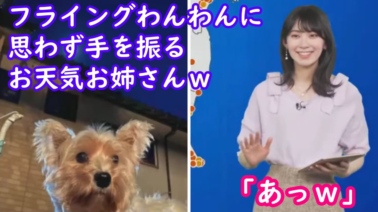 【檜山沙耶】フライング気味に登場したわんわんに思わず手を振るおさやｗ [ウェザーニュースLive切り抜き]