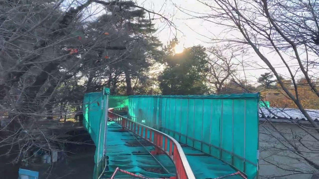 #華蔵寺公園🎡15🍁#ジャニーズ🌸🎄 #紅白歌合戦🎤#加藤礼愛🚃#いちみる🍓#鷹宮玲亜🚔#安土姫華🍓#ジャンキス💋#山田莉愛🐼#鈴木陽依梨🐣#秋月柑七🍊#宝寿柚花💎#miyabi 🐼#あかぎ団