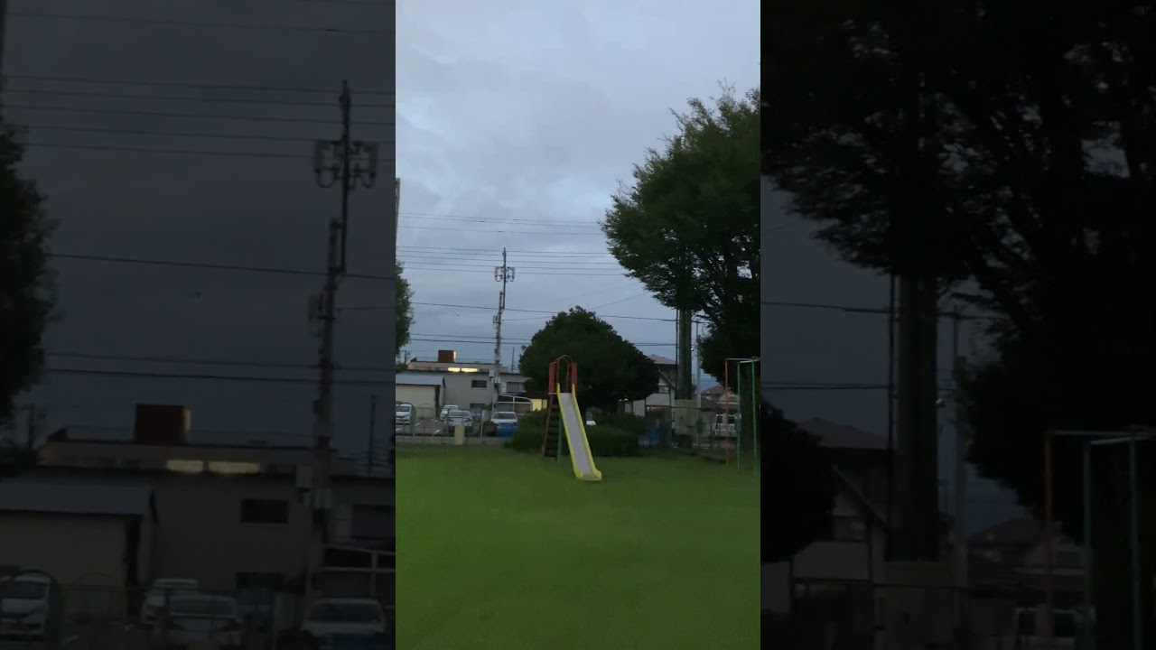 この騒がしい鳥は何か？➡#百舌鳥➡#名門会　高崎校　🍟塩しの川和優　とその兄⚽は百の舌を使い質問攻め　格安時給で情報収集➡一流講師ポイ捨て　#知的財産権侵害　重罪である👹　大阪　#百舌鳥駅　高崎駅常駐