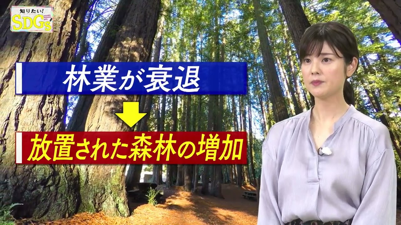 知りたい！SDGs #89 |2021年6月10日放送