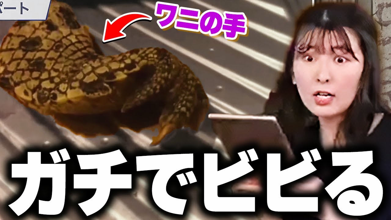 突然流れたグロめな動画にお手本のようなリアクションをするお天気お姉さん【駒木結衣/ウェザーニュース切り抜き】