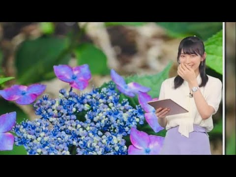【檜山沙耶】お腹で返事をしてしまったさやっち【ウェザーニュースlive】