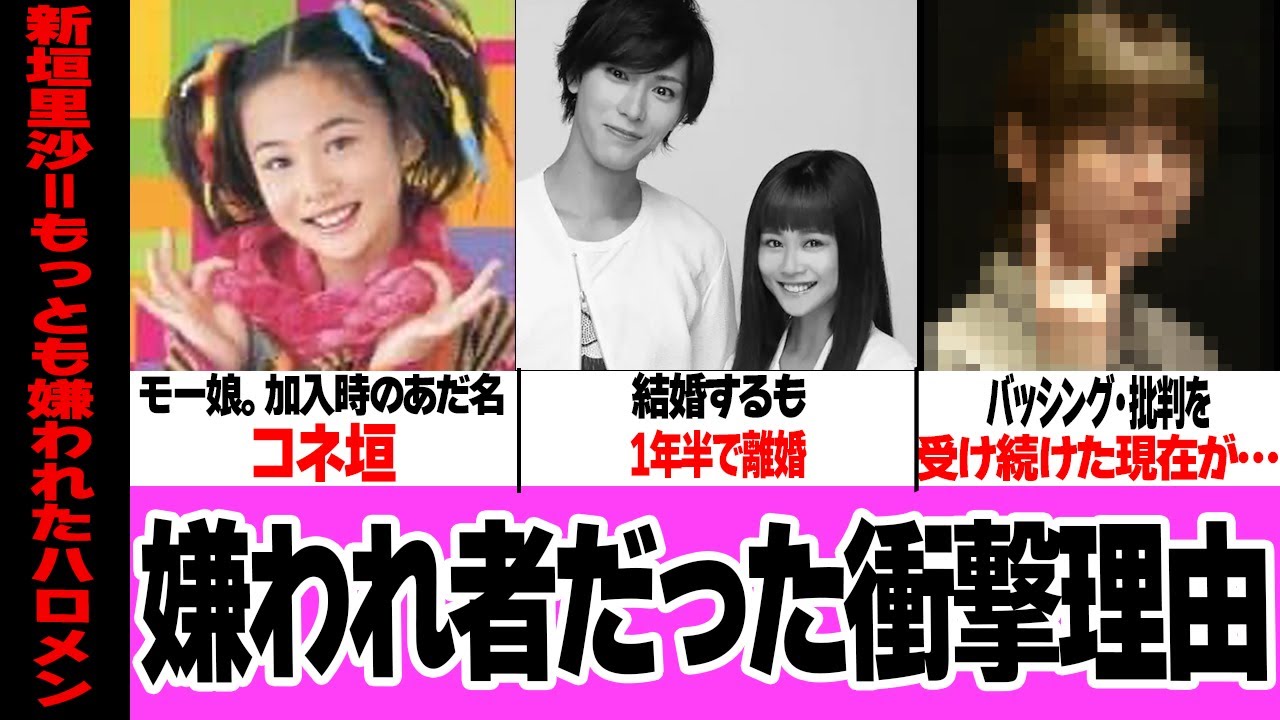 新垣里沙が”ハロプロNo.1嫌われ者”と揶揄されていた真相に絶句…加入当初12歳でヲタクから執拗な口撃、会場で飛び交うバッシング、想像を絶する過酷な仕打ちに驚きを隠せない【芸能】