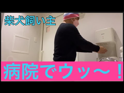 【柴犬飼い主53歳】病院で〝ウッ〜！〟やってたら看護婦長に声かけられ！