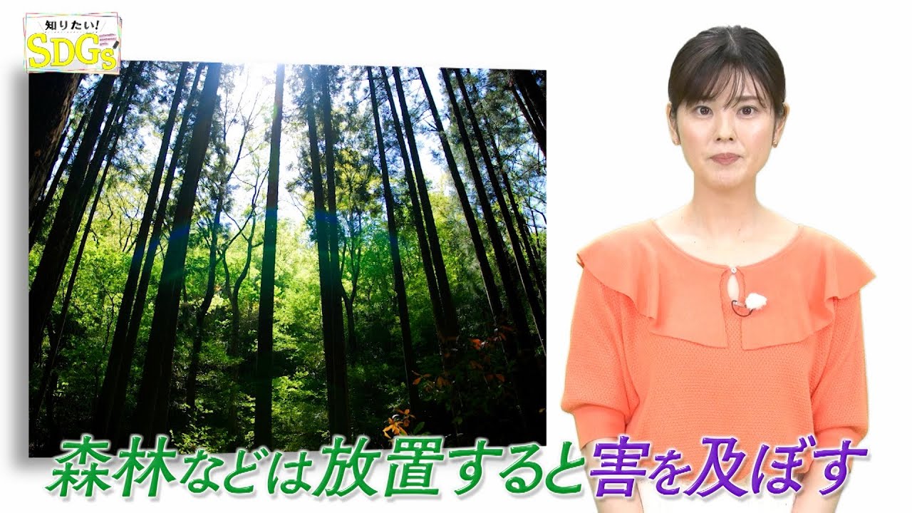 知りたい！SDGs #97 |2021年8月5日放送