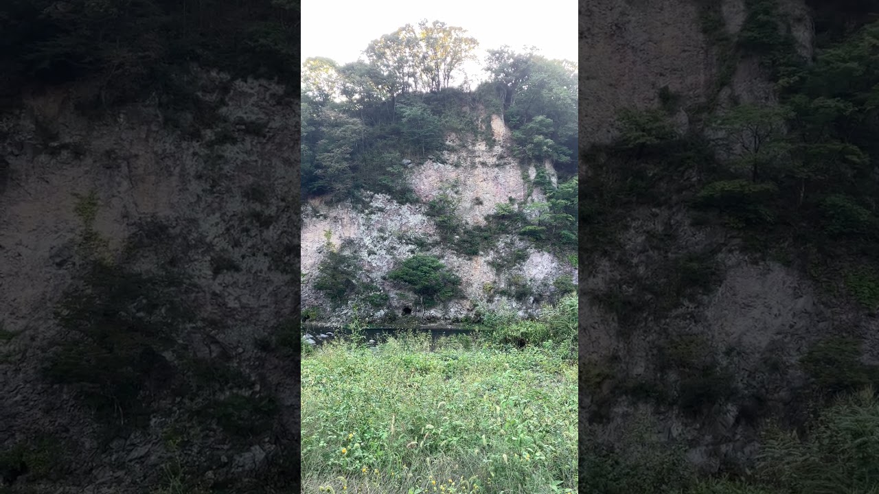 59　#棚下不動の滝　#上越線　岸壁。草が生い茂り危険、冬場はもっと近寄れる🐼#熊之細陽葵🐻#あかぎ団　#千葉心結🌸#宝寿柚花🌸#鈴木陽依梨　#ジャンキス💋#北島由唯