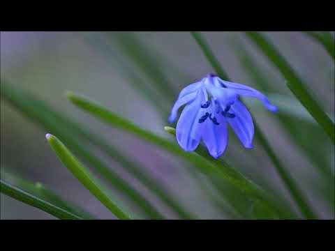 小さな愛　　永井龍雲