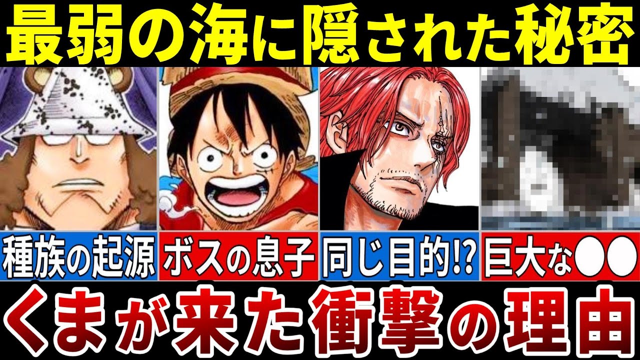 くまが東の海を訪れた衝撃の理由を徹底考察※ネタバレ注意【ONE PIECE最新1100話】